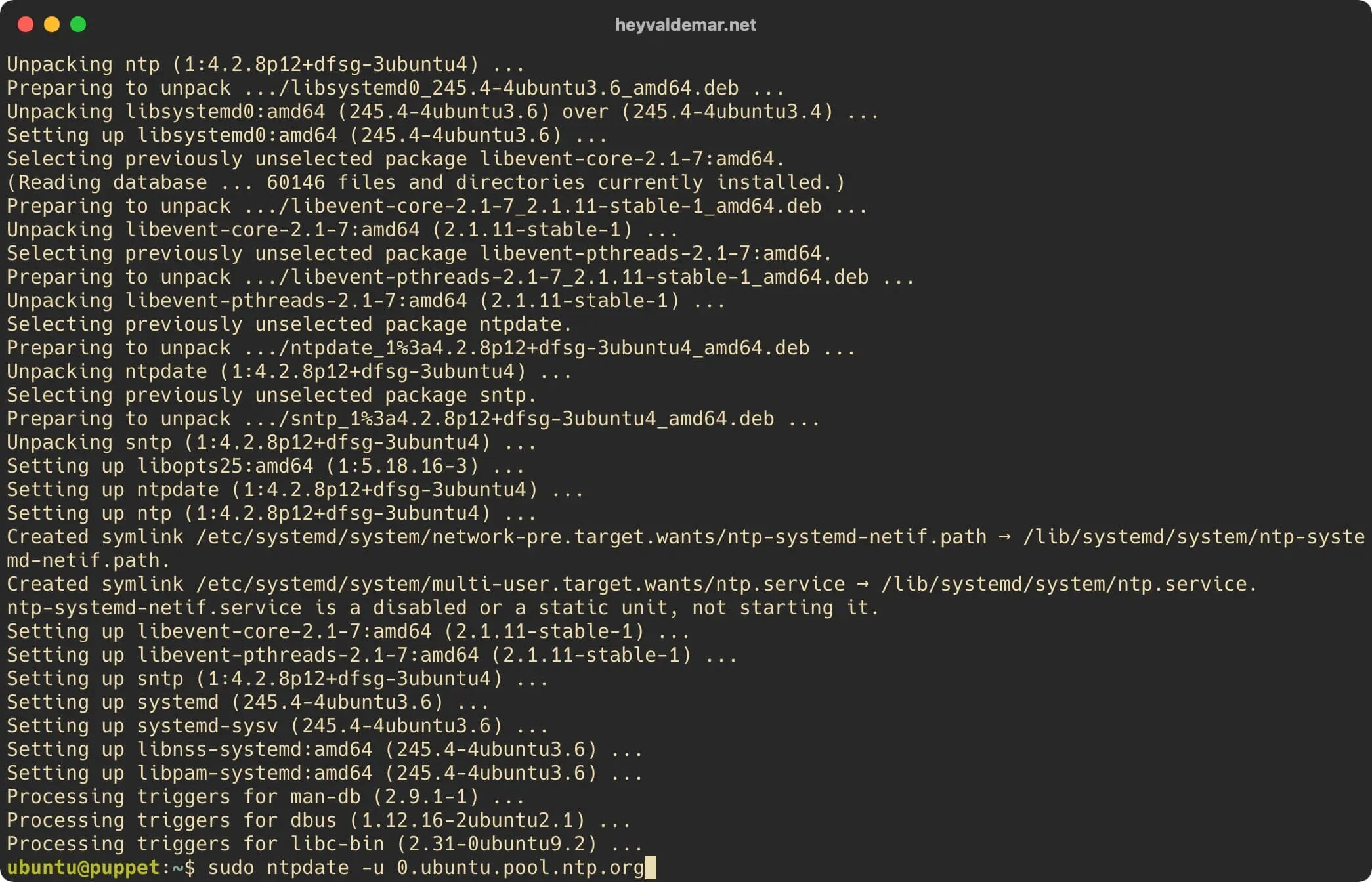 Install Puppet on Ubuntu Server - Step 8