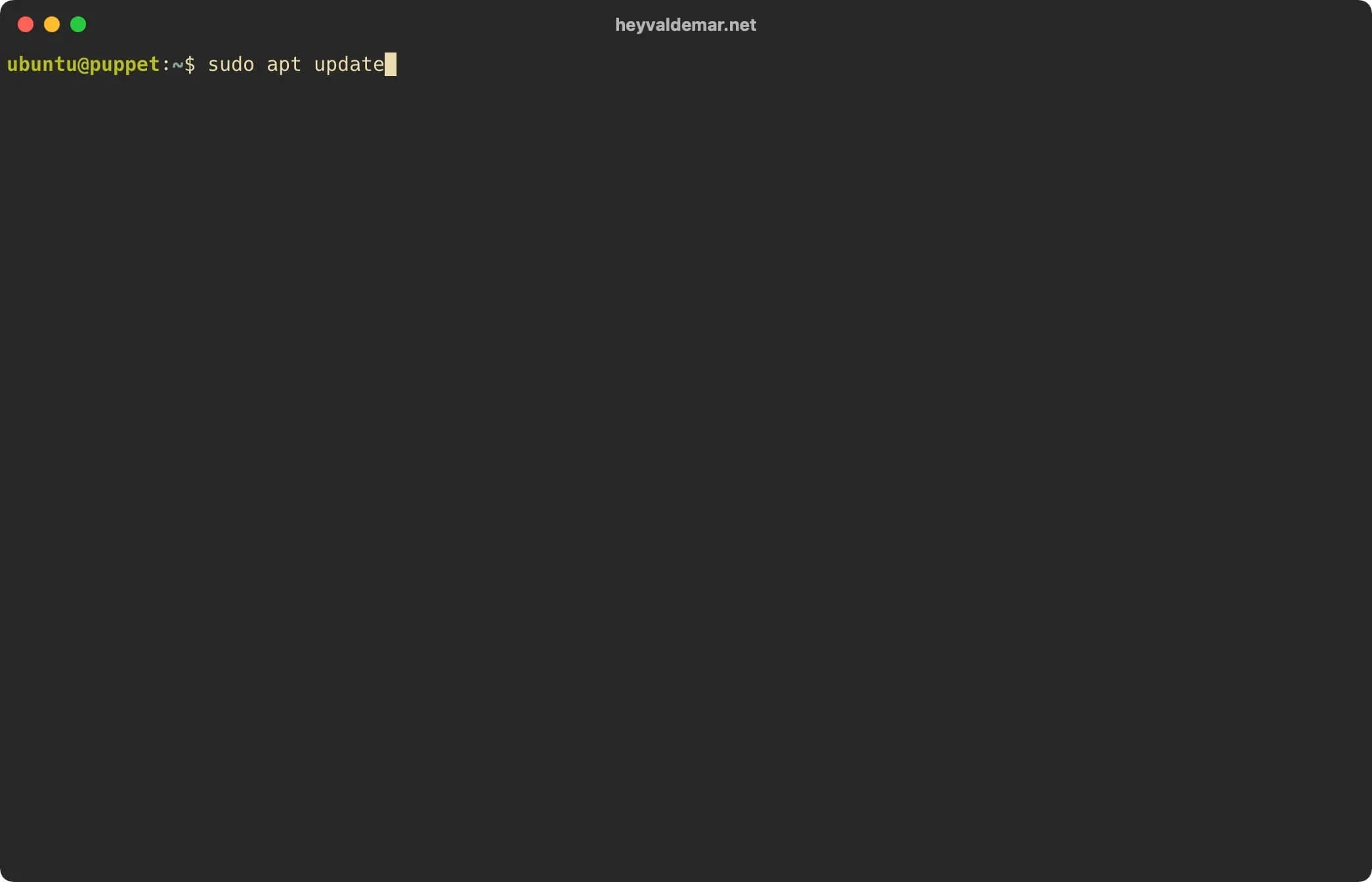 Install PuppetDB on Ubuntu Server - Step 1
