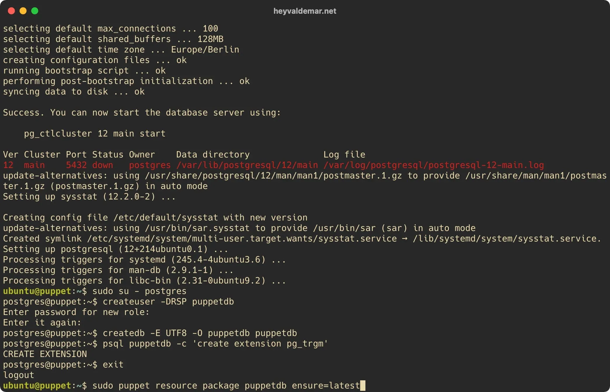Install PuppetDB on Ubuntu Server - Step 10