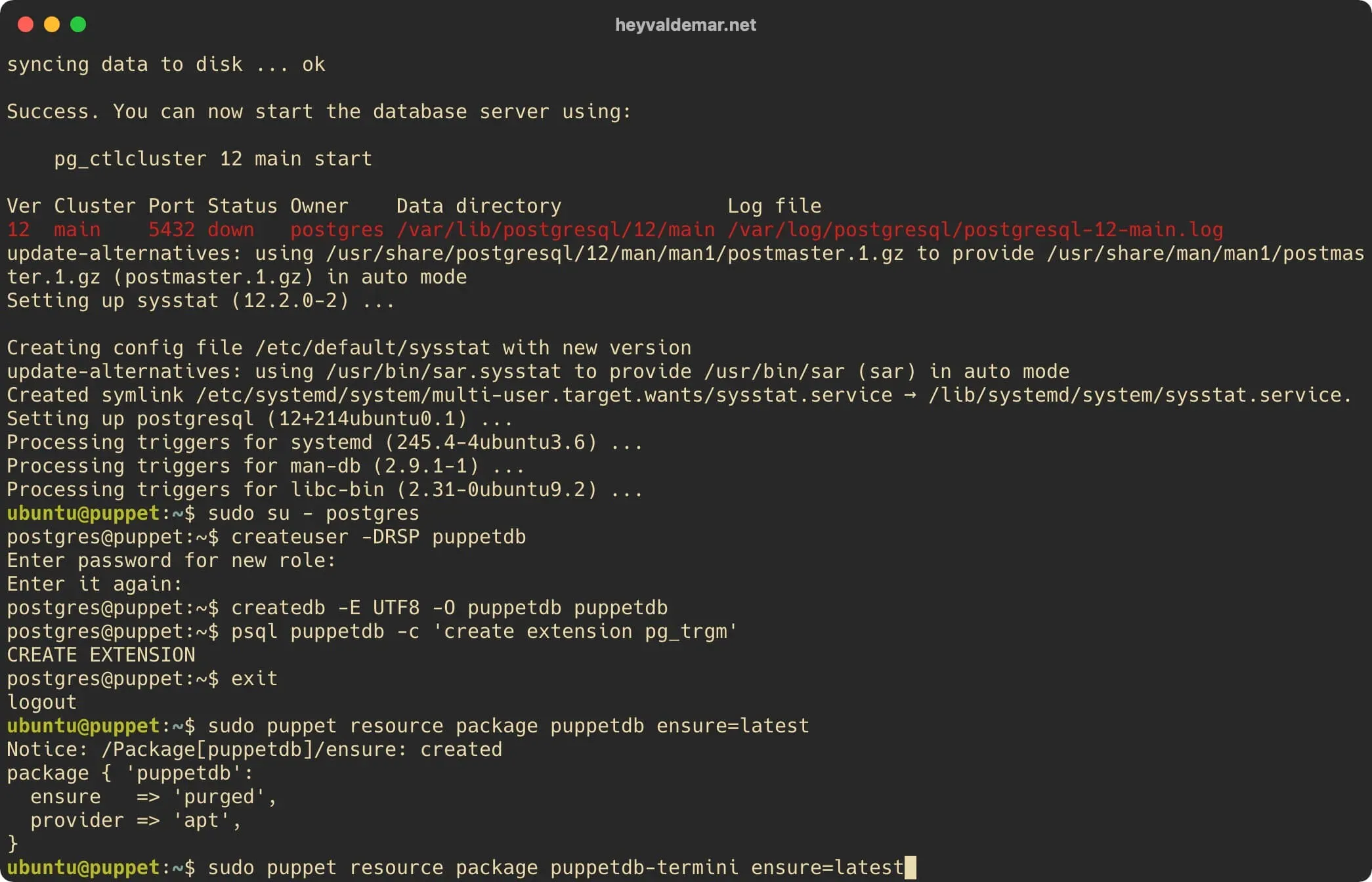 Install PuppetDB on Ubuntu Server - Step 11