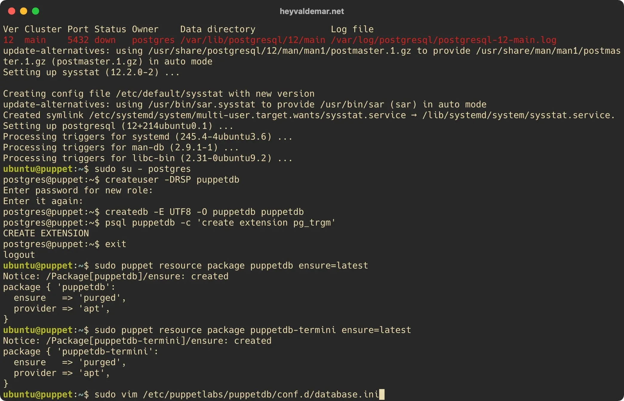 Install PuppetDB on Ubuntu Server - Step 12