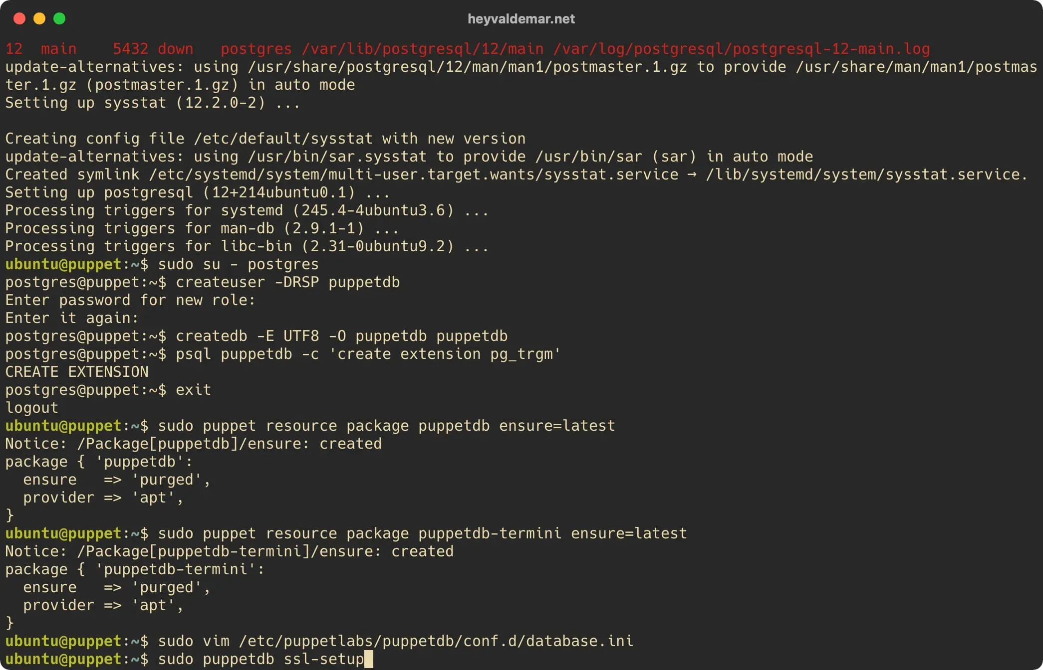 Install PuppetDB on Ubuntu Server - Step 15