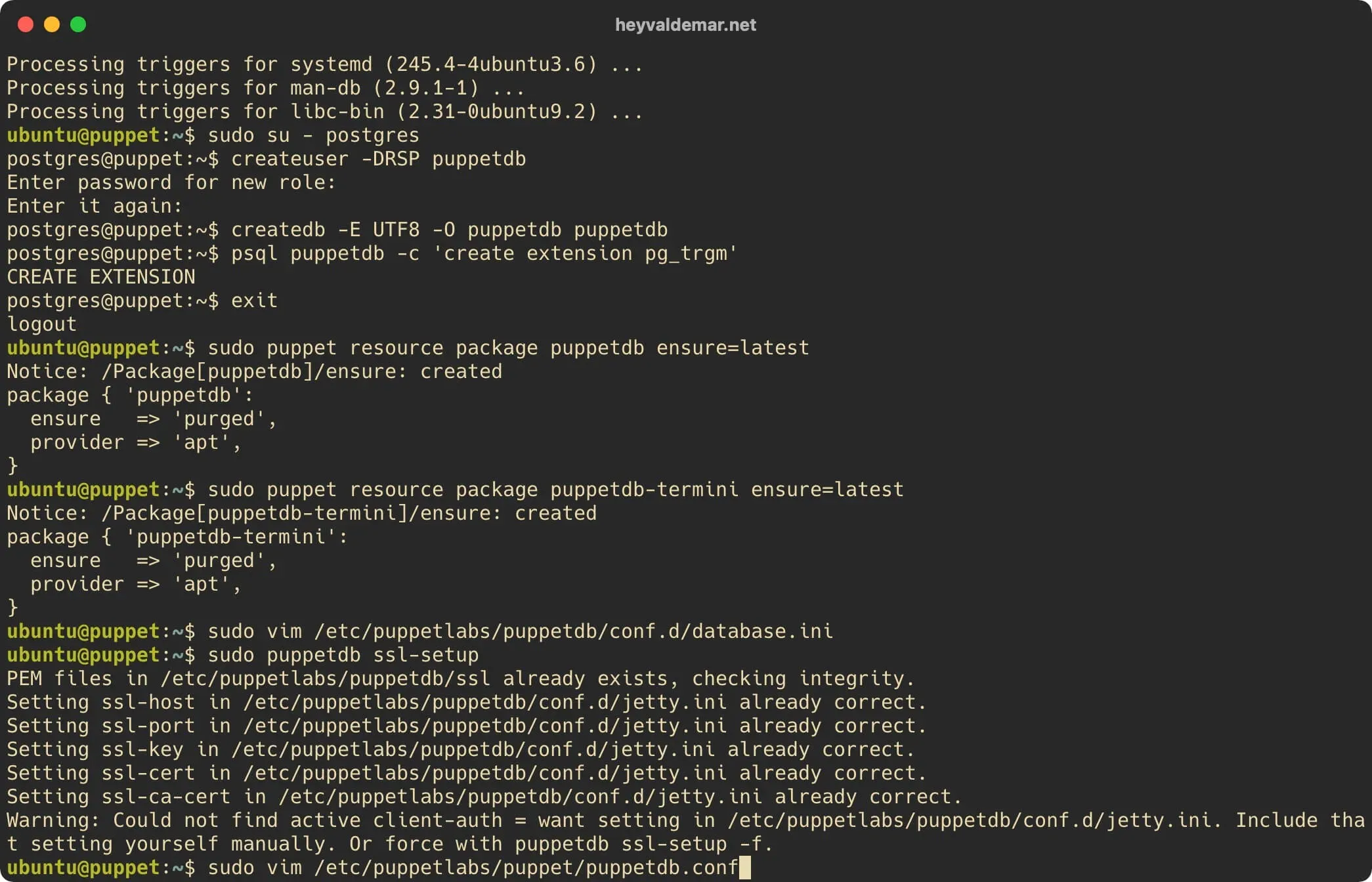 Install PuppetDB on Ubuntu Server - Step 16