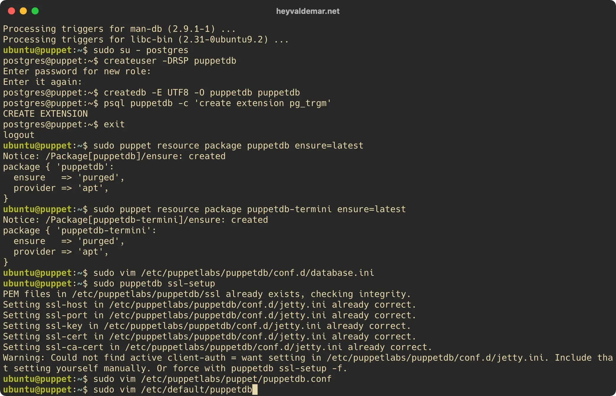 Install PuppetDB on Ubuntu Server - Step 19