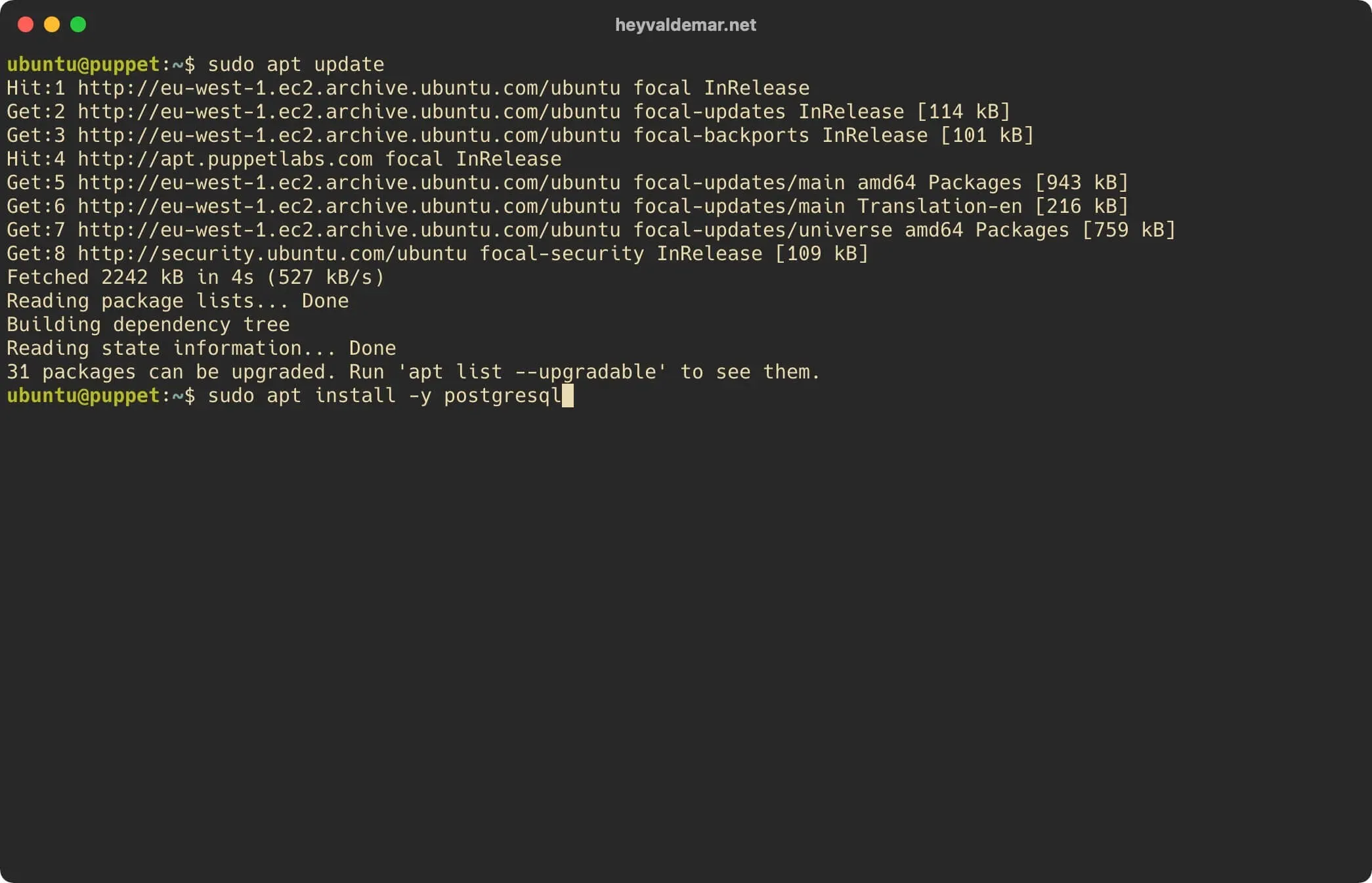 Install PuppetDB on Ubuntu Server - Step 2