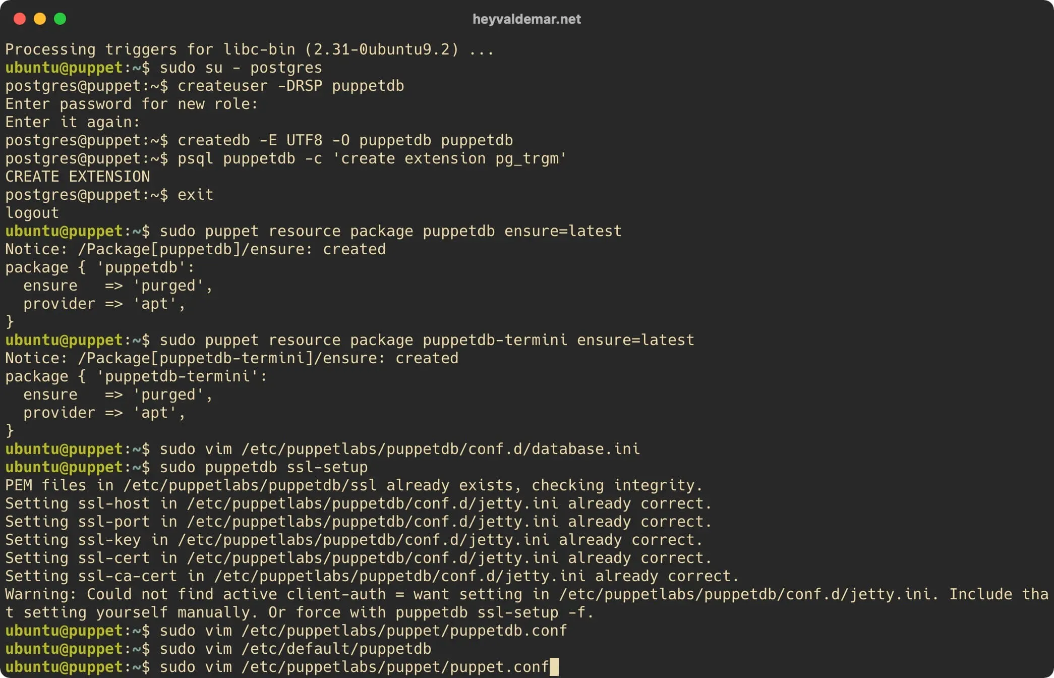 Install PuppetDB on Ubuntu Server - Step 22
