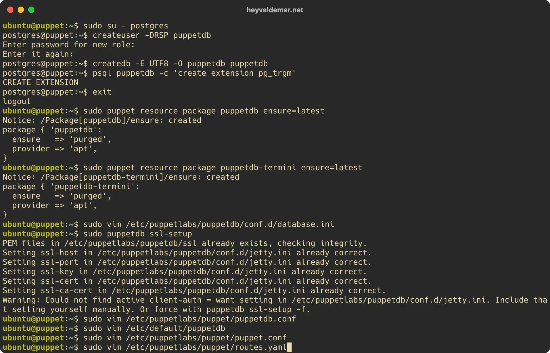 Install PuppetDB on Ubuntu Server - Step 25
