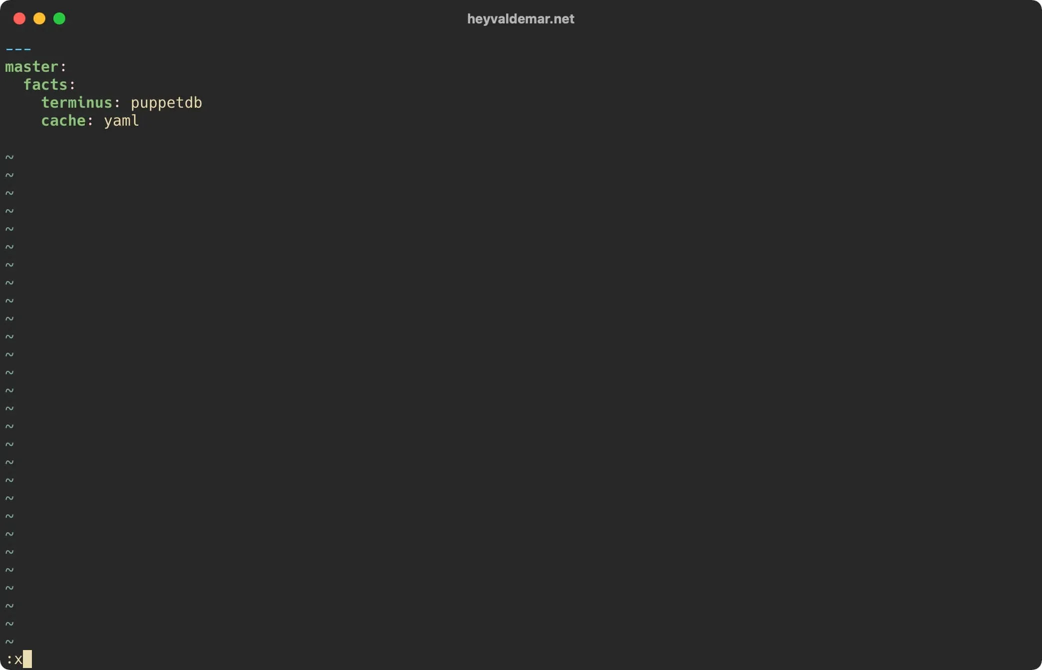 Install PuppetDB on Ubuntu Server - Step 27