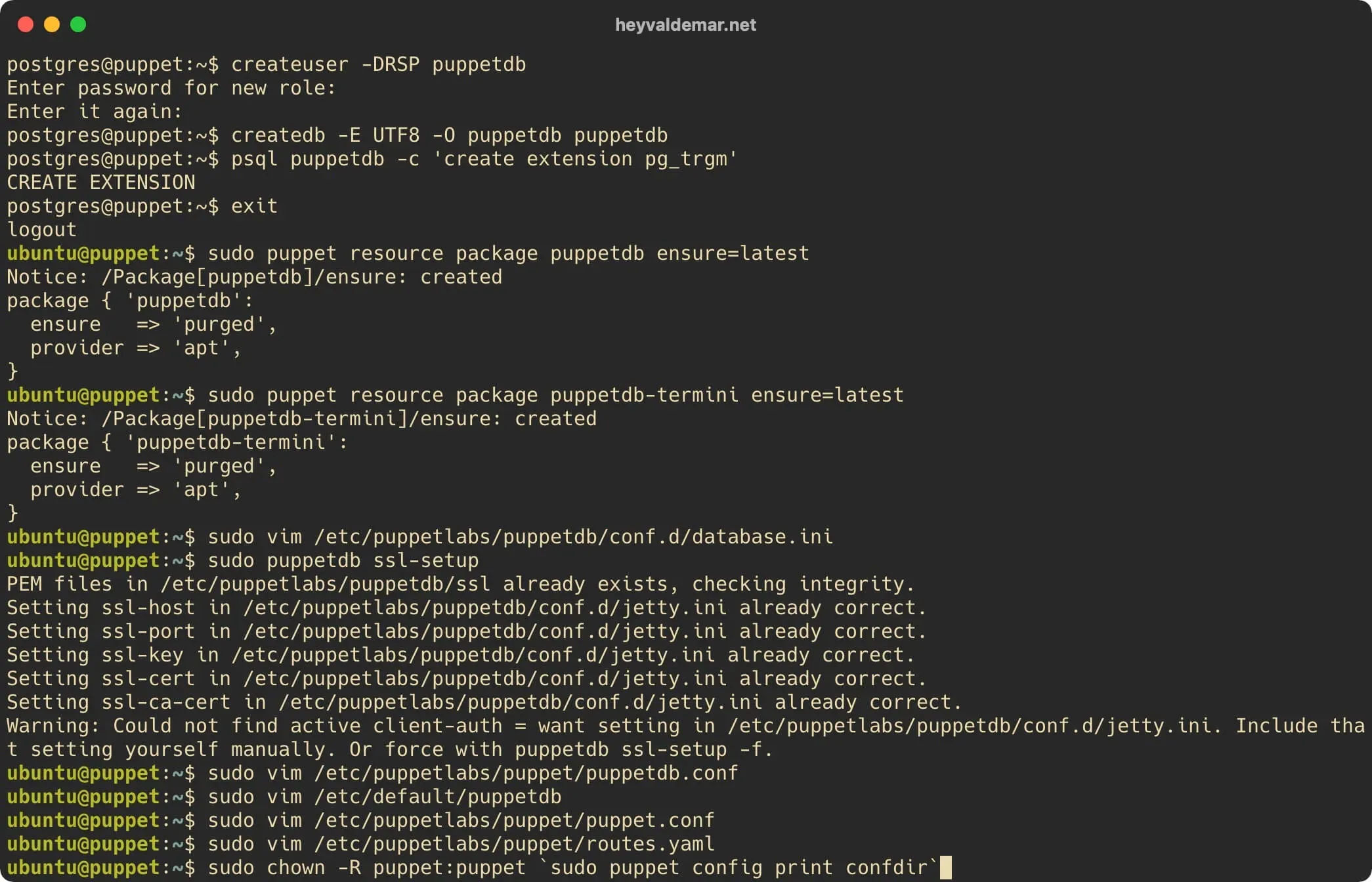 Install PuppetDB on Ubuntu Server - Step 28
