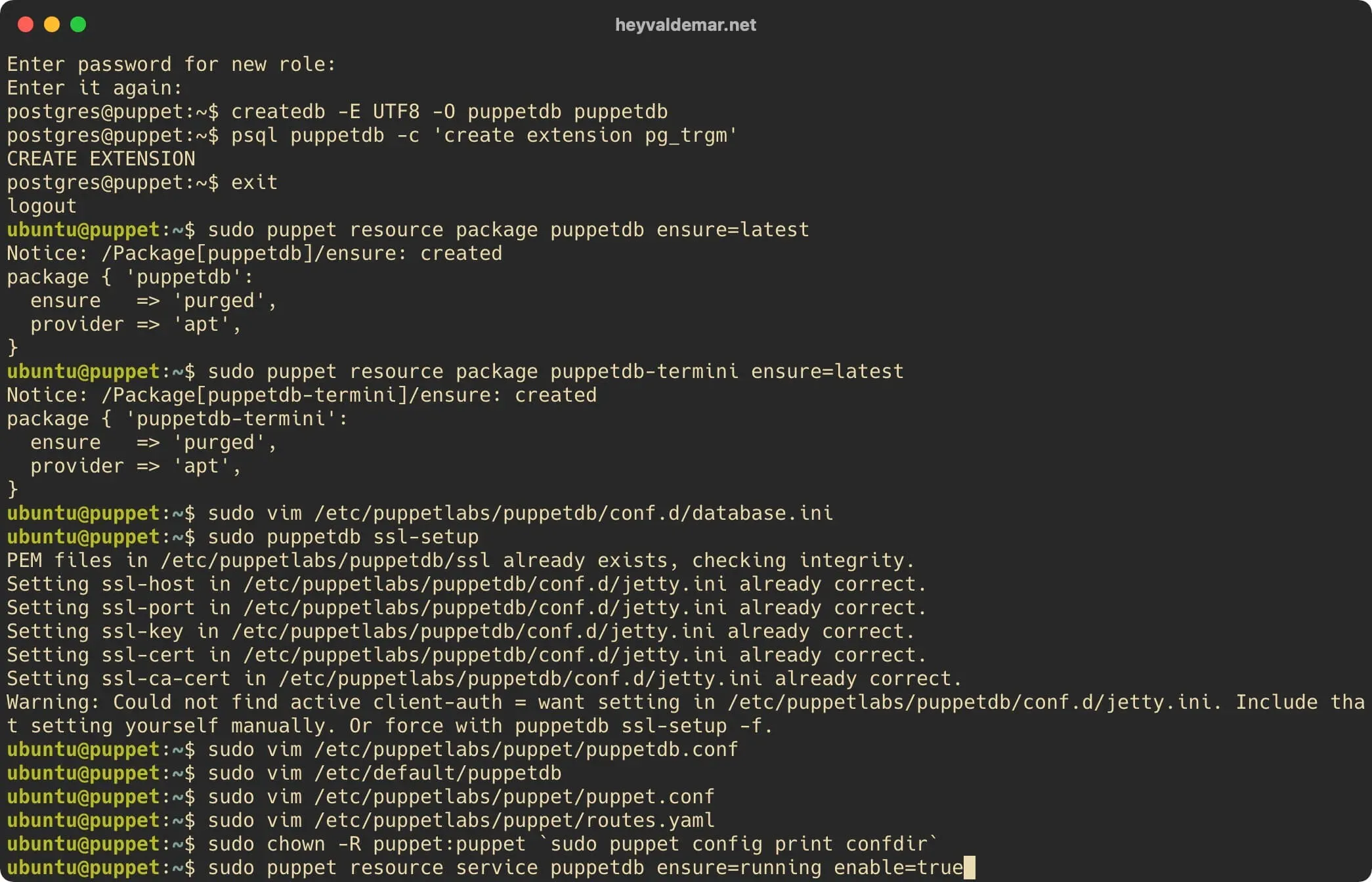 Install PuppetDB on Ubuntu Server - Step 29