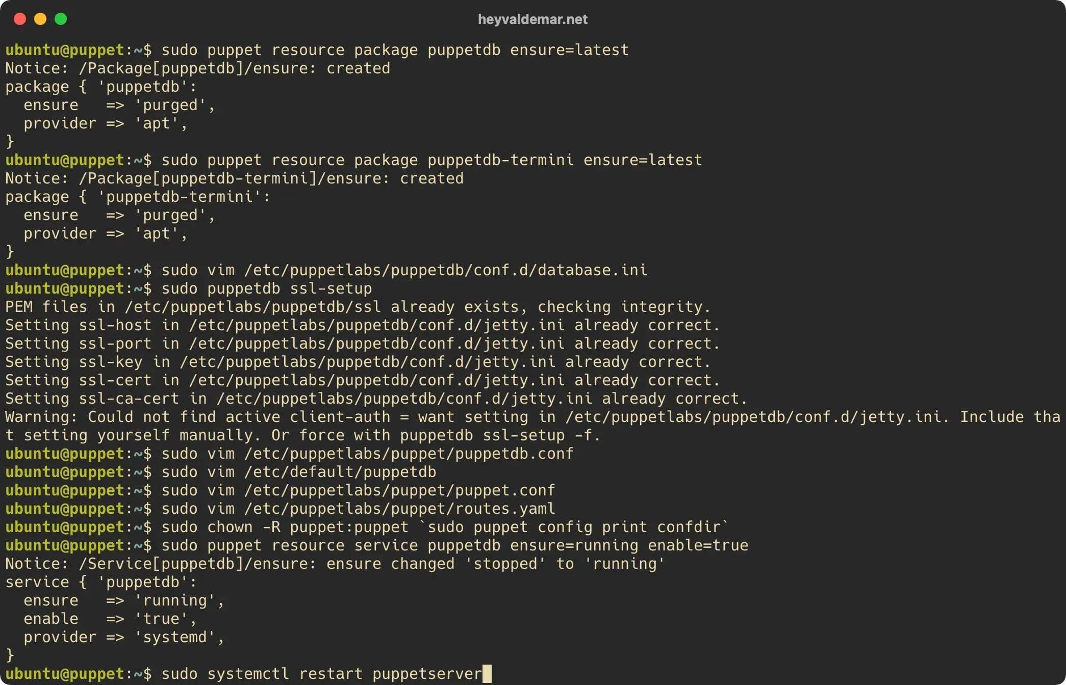 Install PuppetDB on Ubuntu Server - Step 30