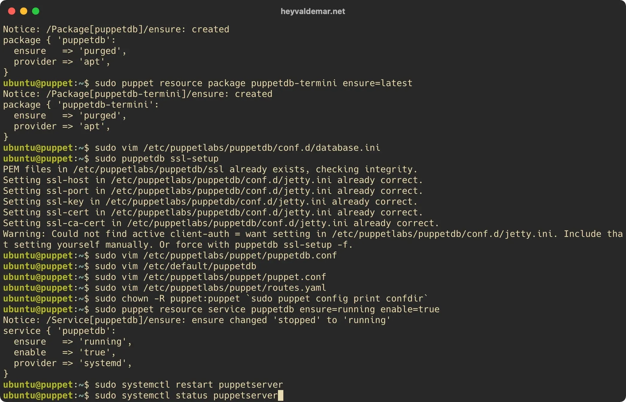 Install PuppetDB on Ubuntu Server - Step 31