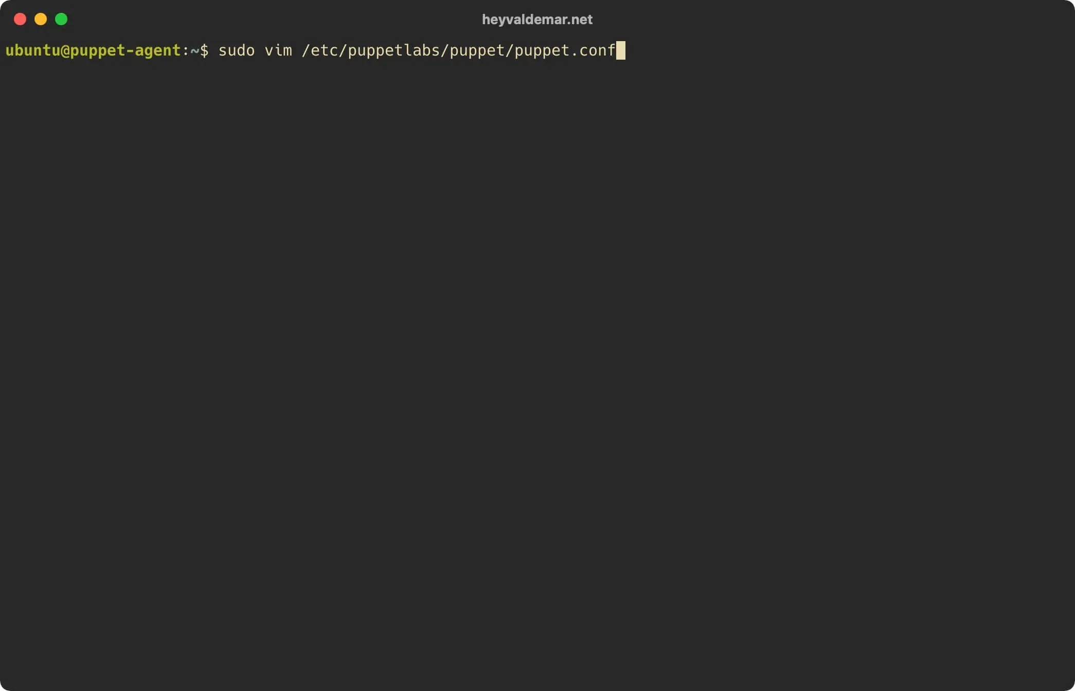 Install PuppetDB on Ubuntu Server - Step 32