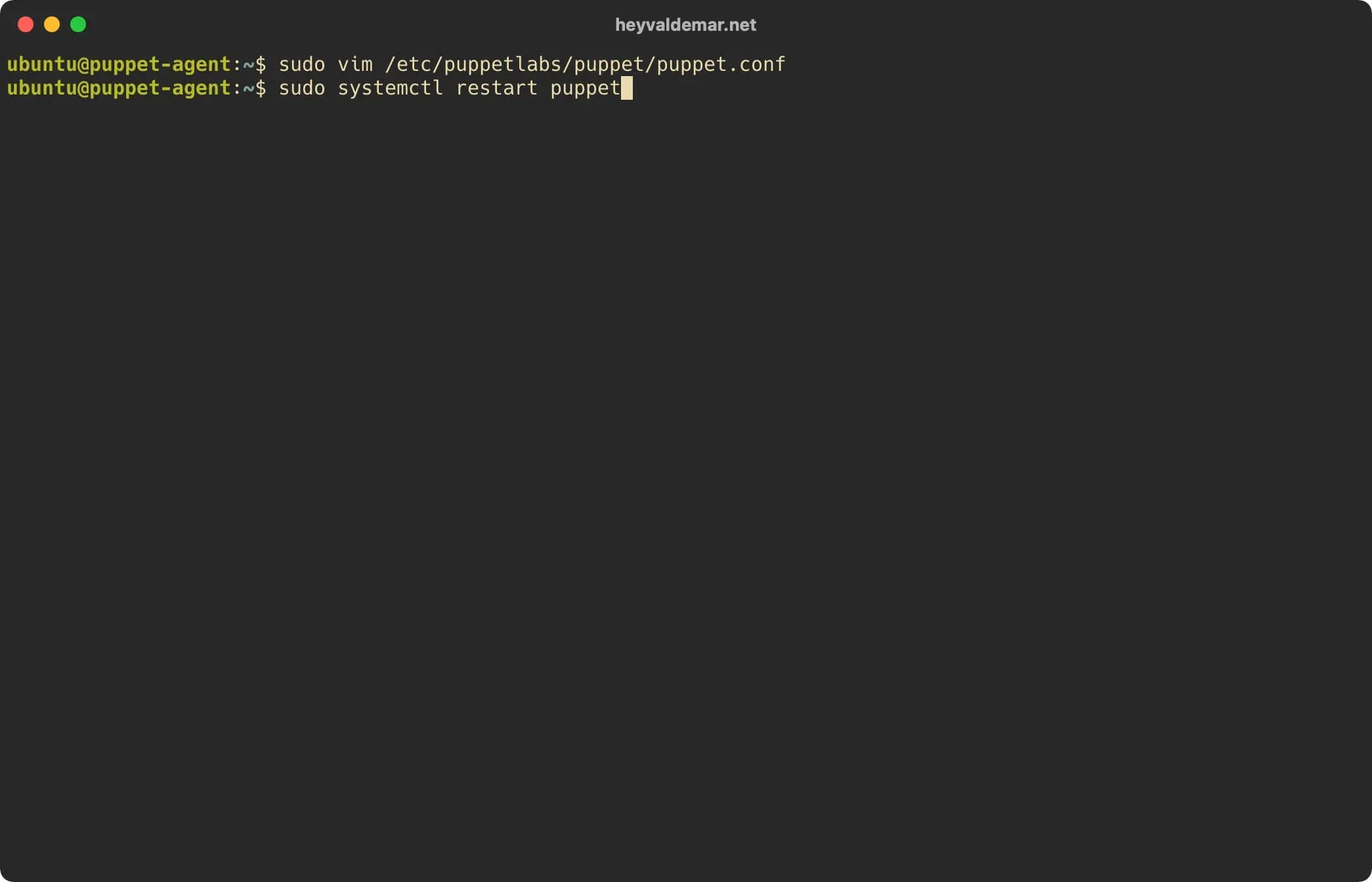 Install PuppetDB on Ubuntu Server - Step 35