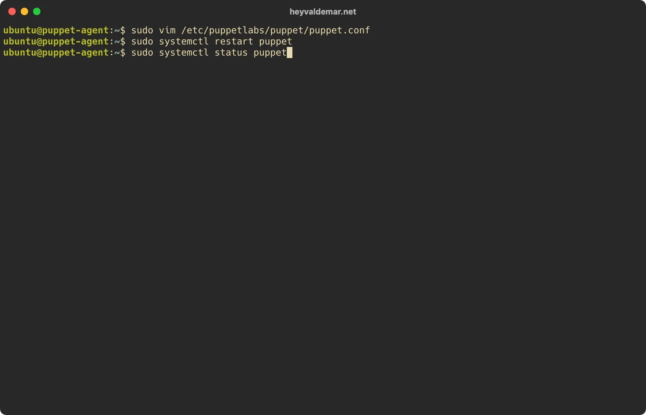 Install PuppetDB on Ubuntu Server - Step 36