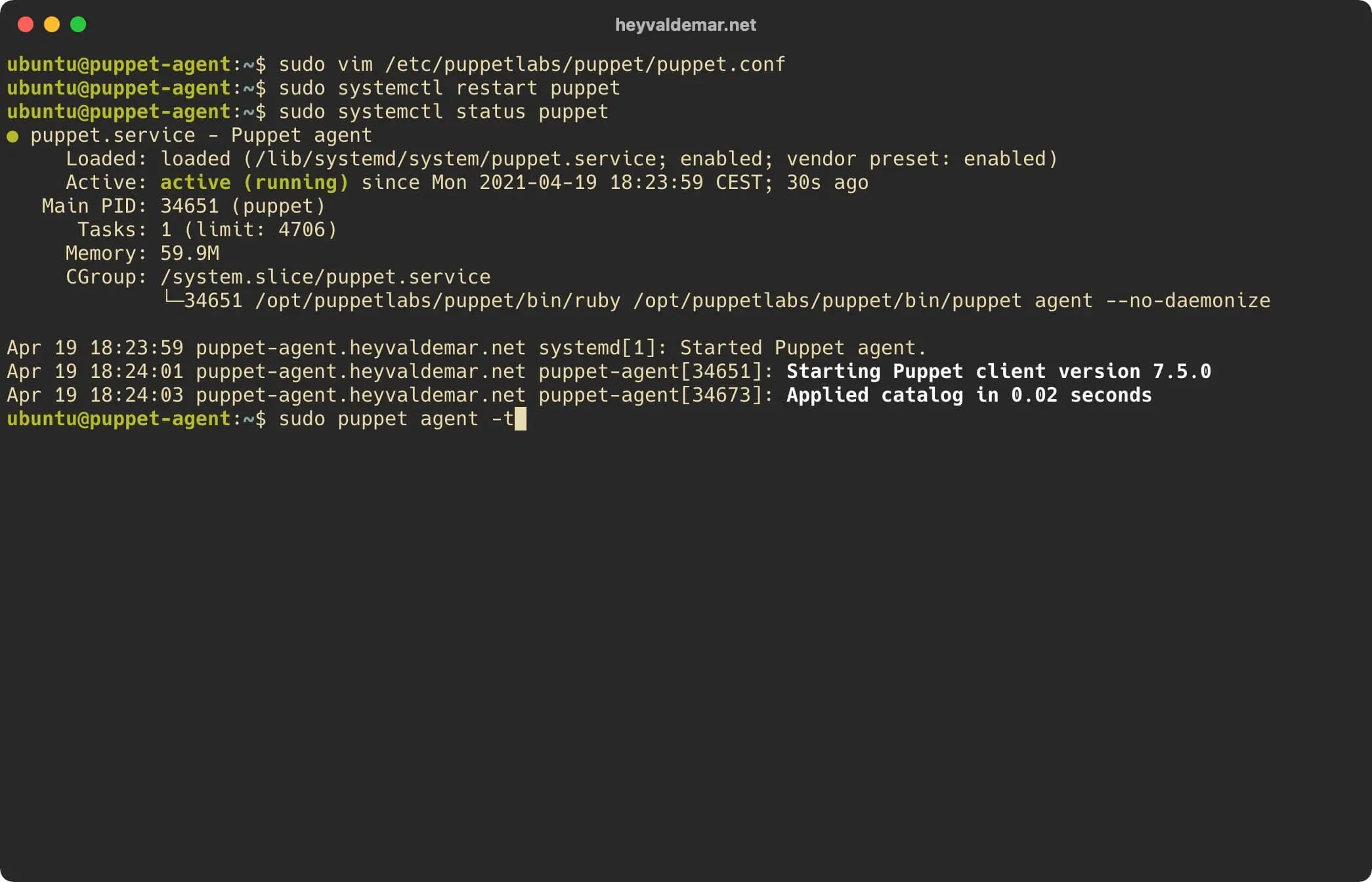 Install PuppetDB on Ubuntu Server - Step 37
