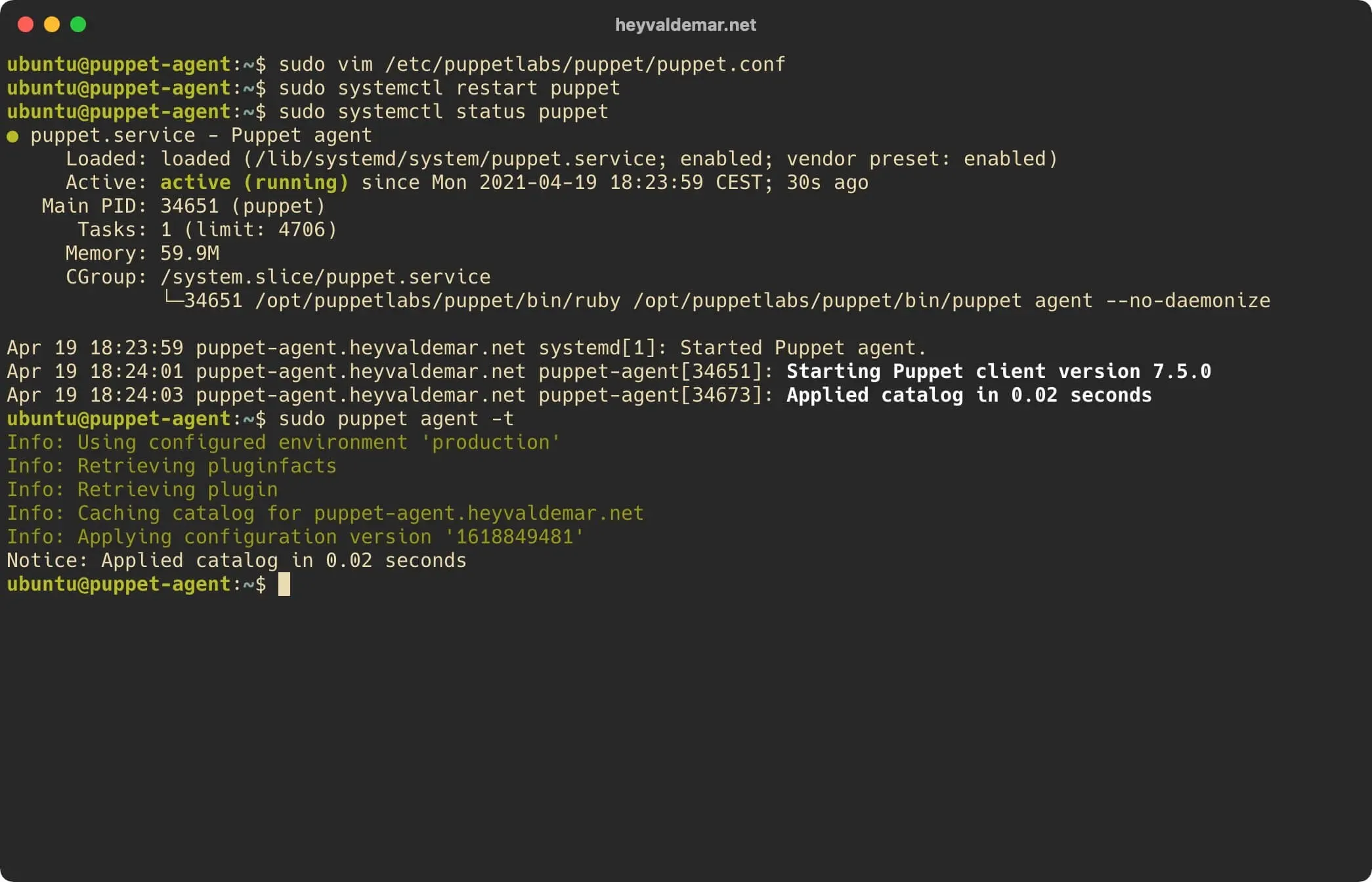 Install PuppetDB on Ubuntu Server - Step 38