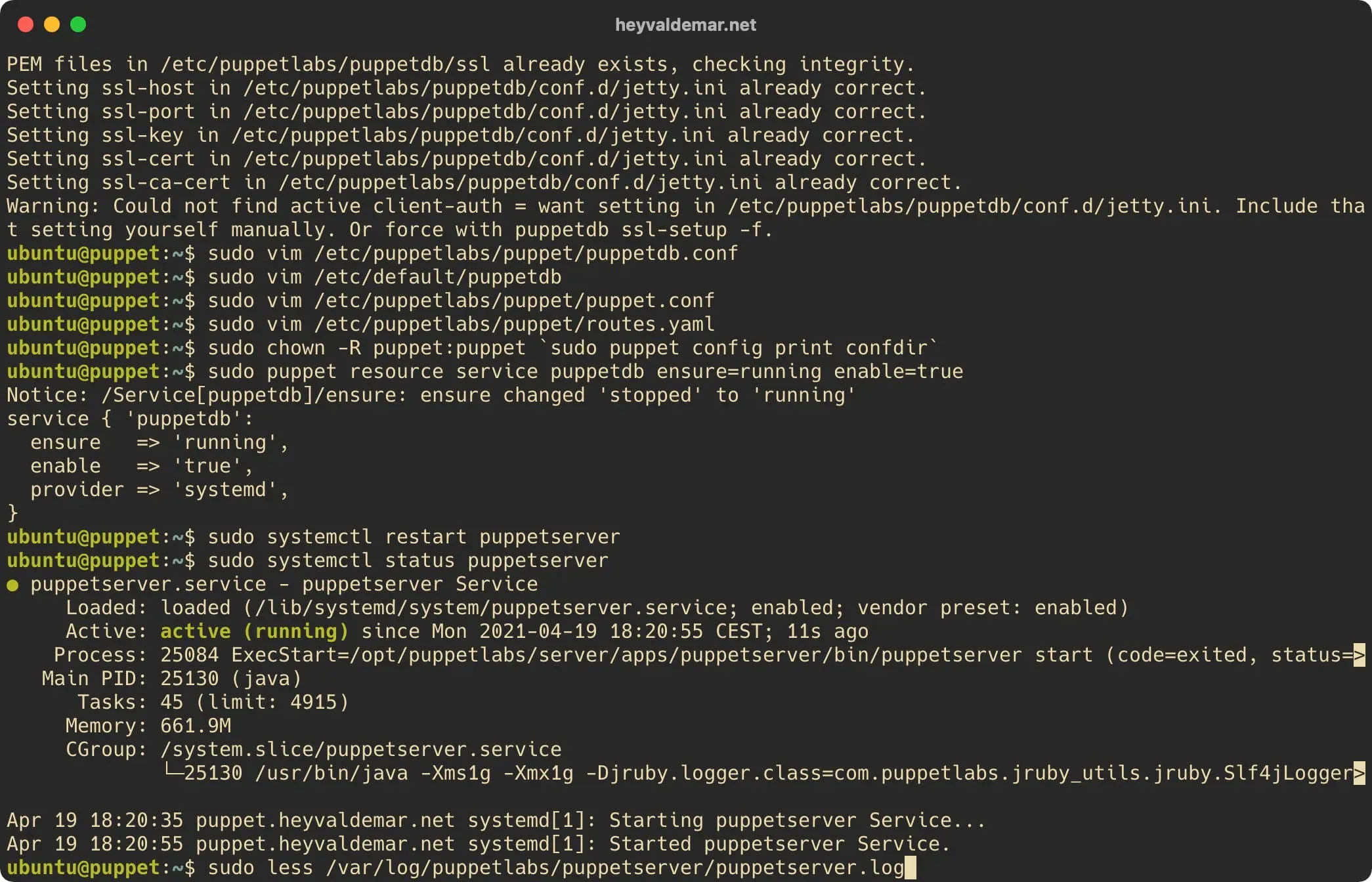 Install PuppetDB on Ubuntu Server - Step 39