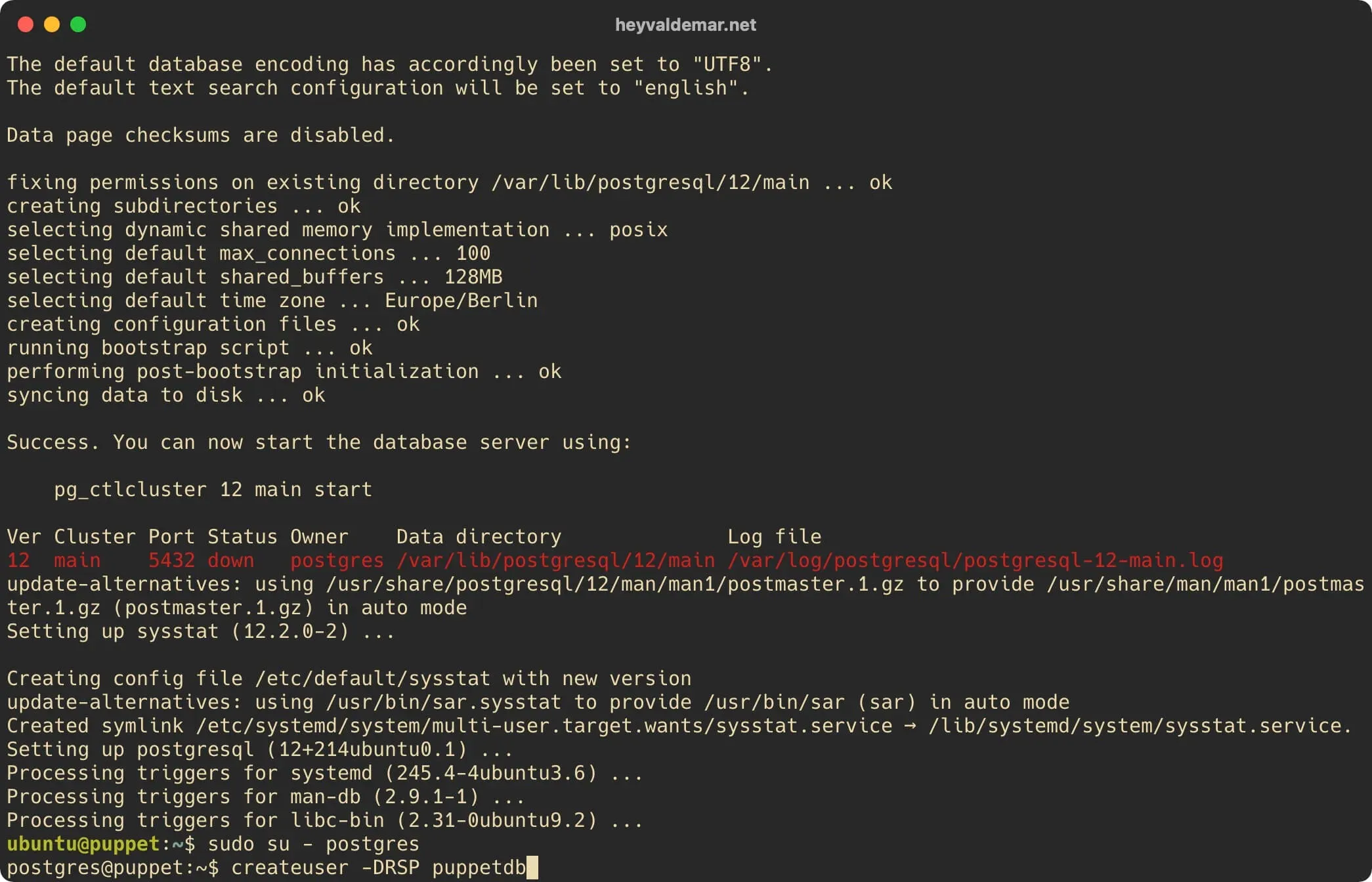Install PuppetDB on Ubuntu Server - Step 4