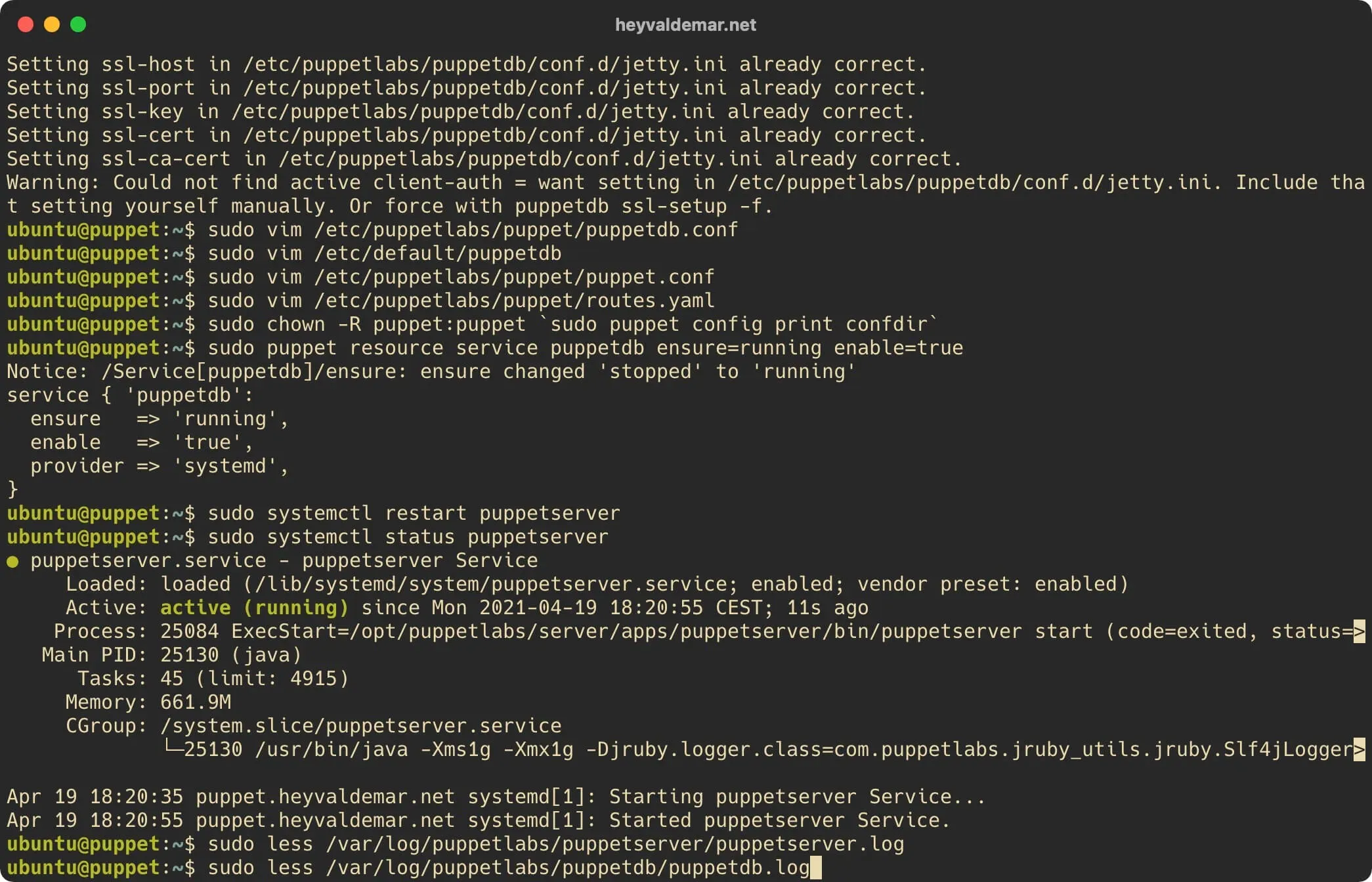 Install PuppetDB on Ubuntu Server - Step 41
