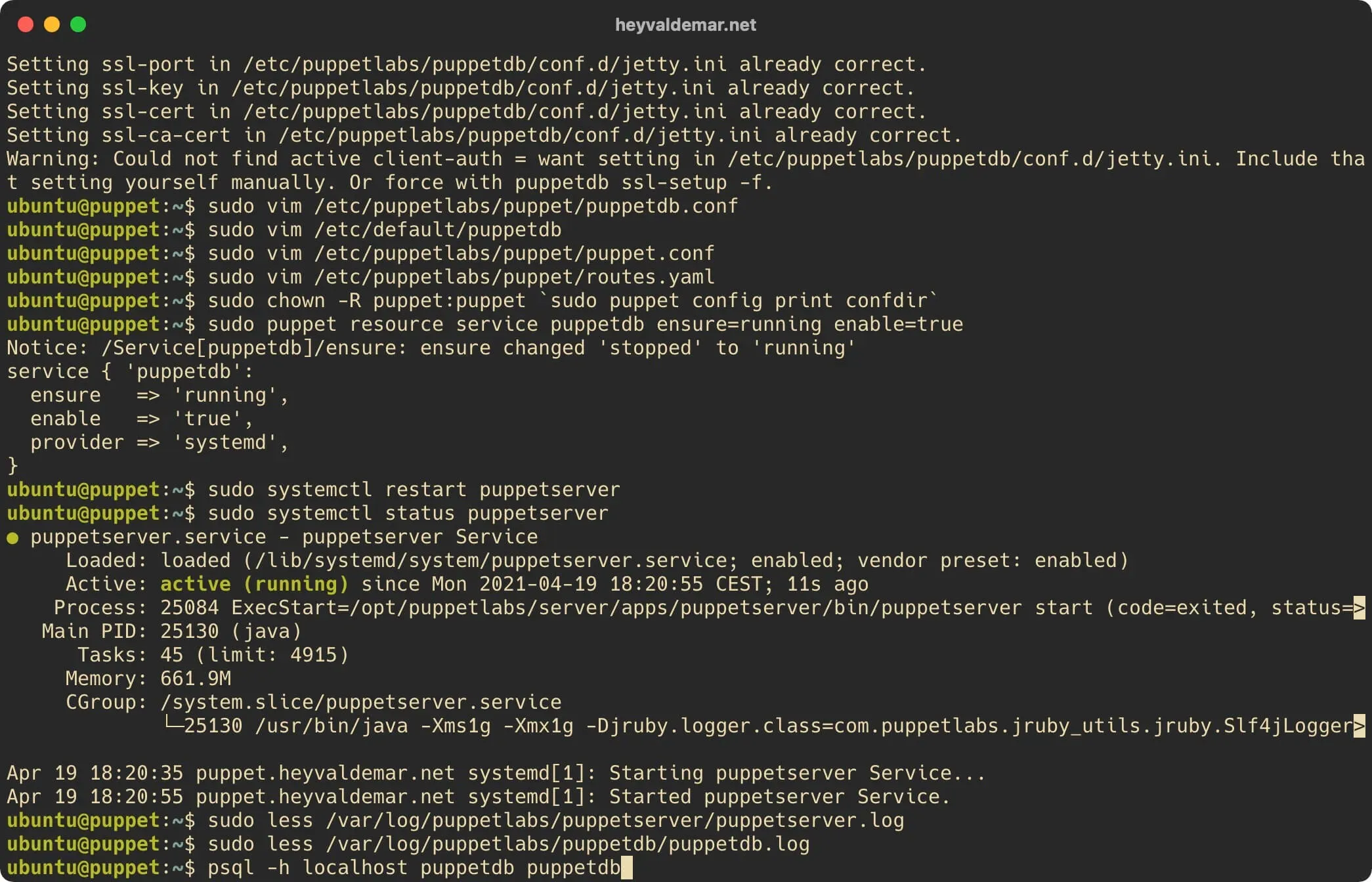 Install PuppetDB on Ubuntu Server - Step 43