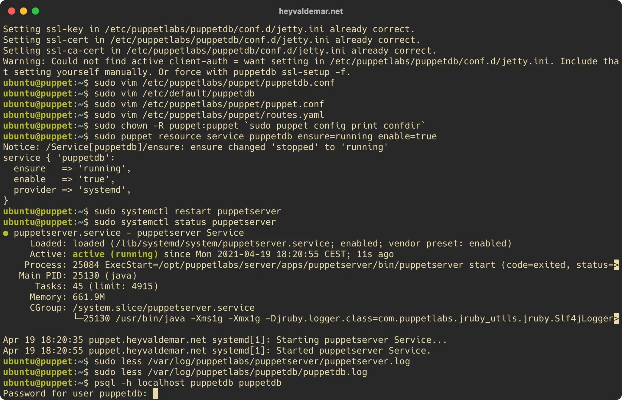 Install PuppetDB on Ubuntu Server - Step 44