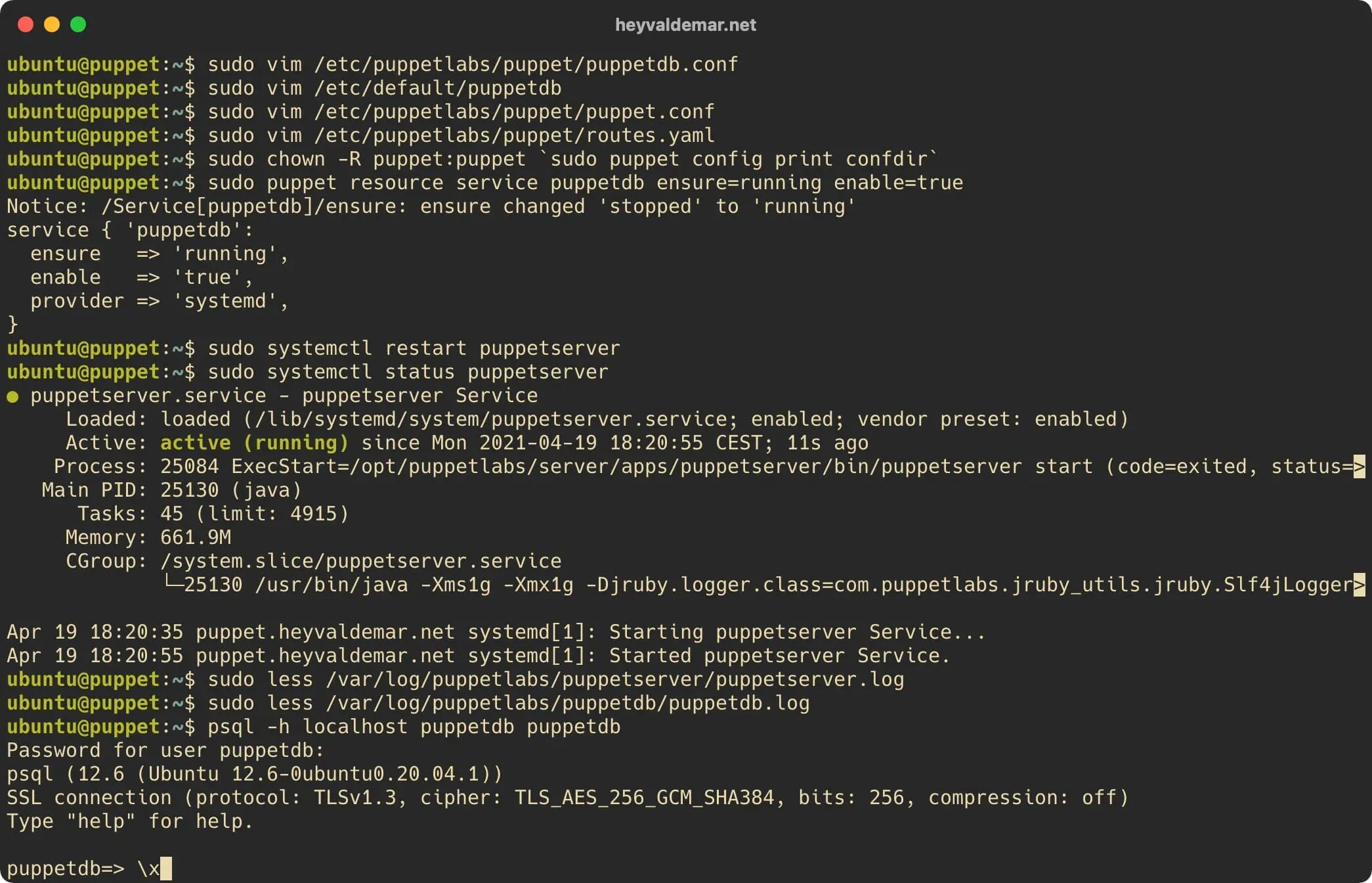Install PuppetDB on Ubuntu Server - Step 45