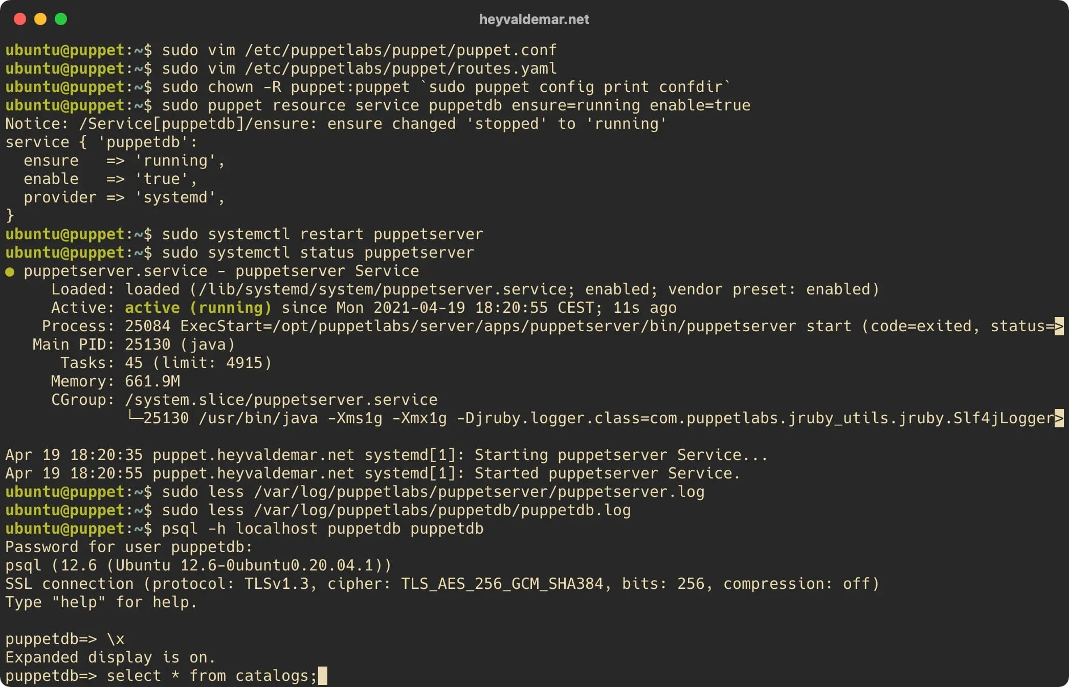 Install PuppetDB on Ubuntu Server - Step 46