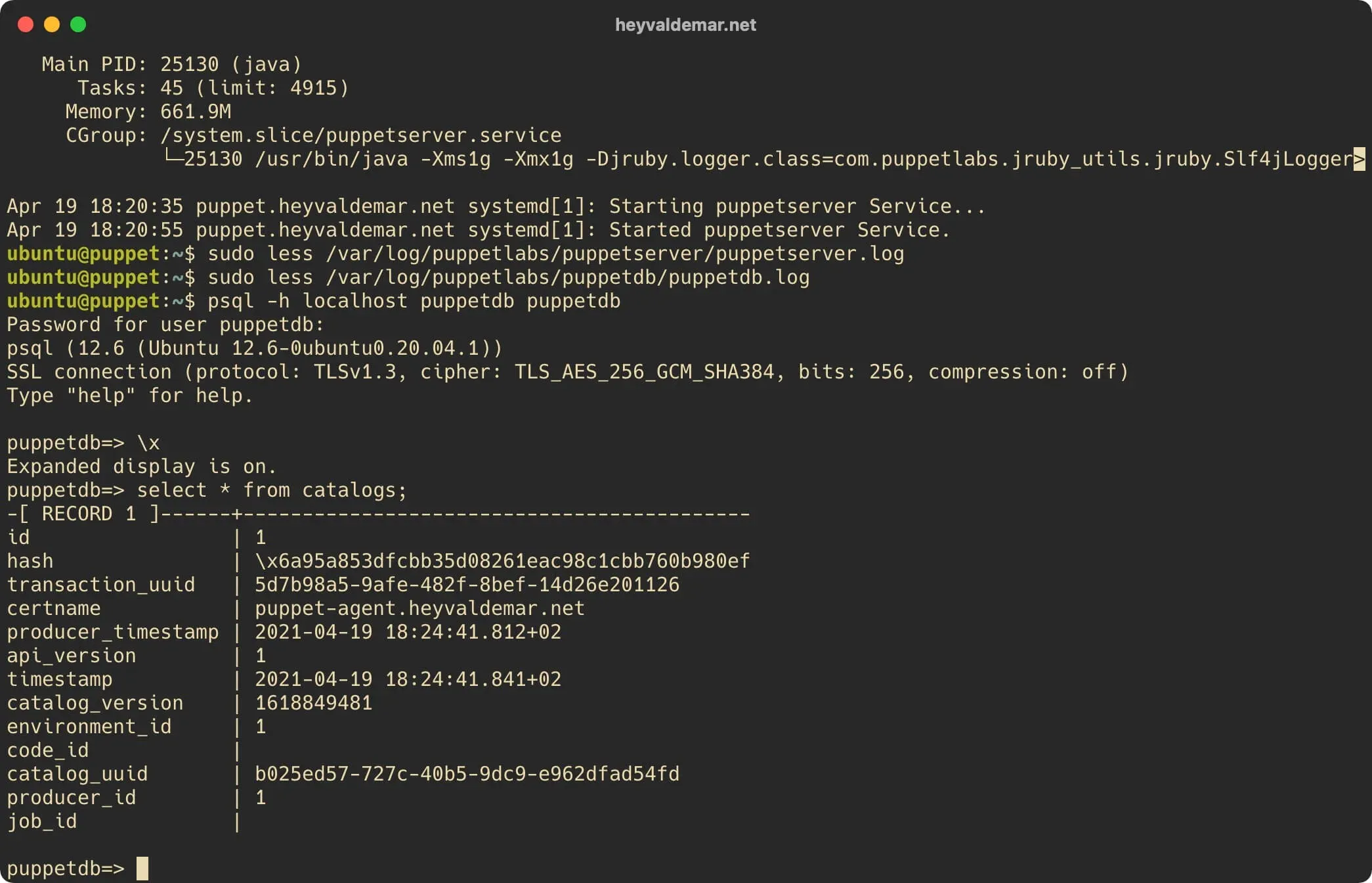 Install PuppetDB on Ubuntu Server - Step 47