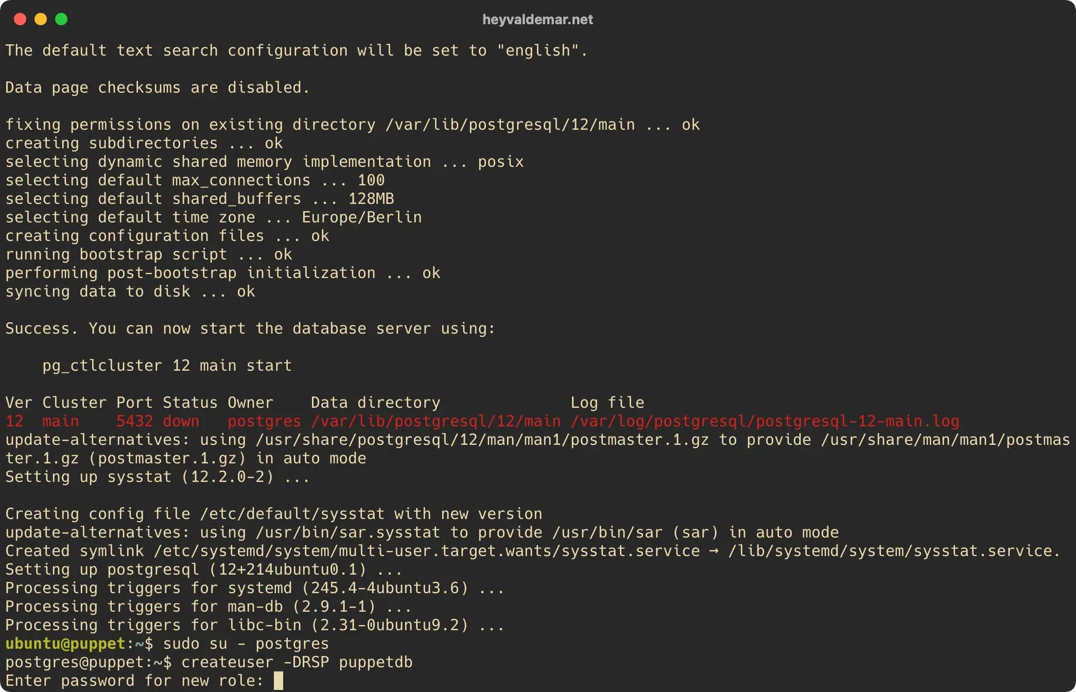 Install PuppetDB on Ubuntu Server - Step 5