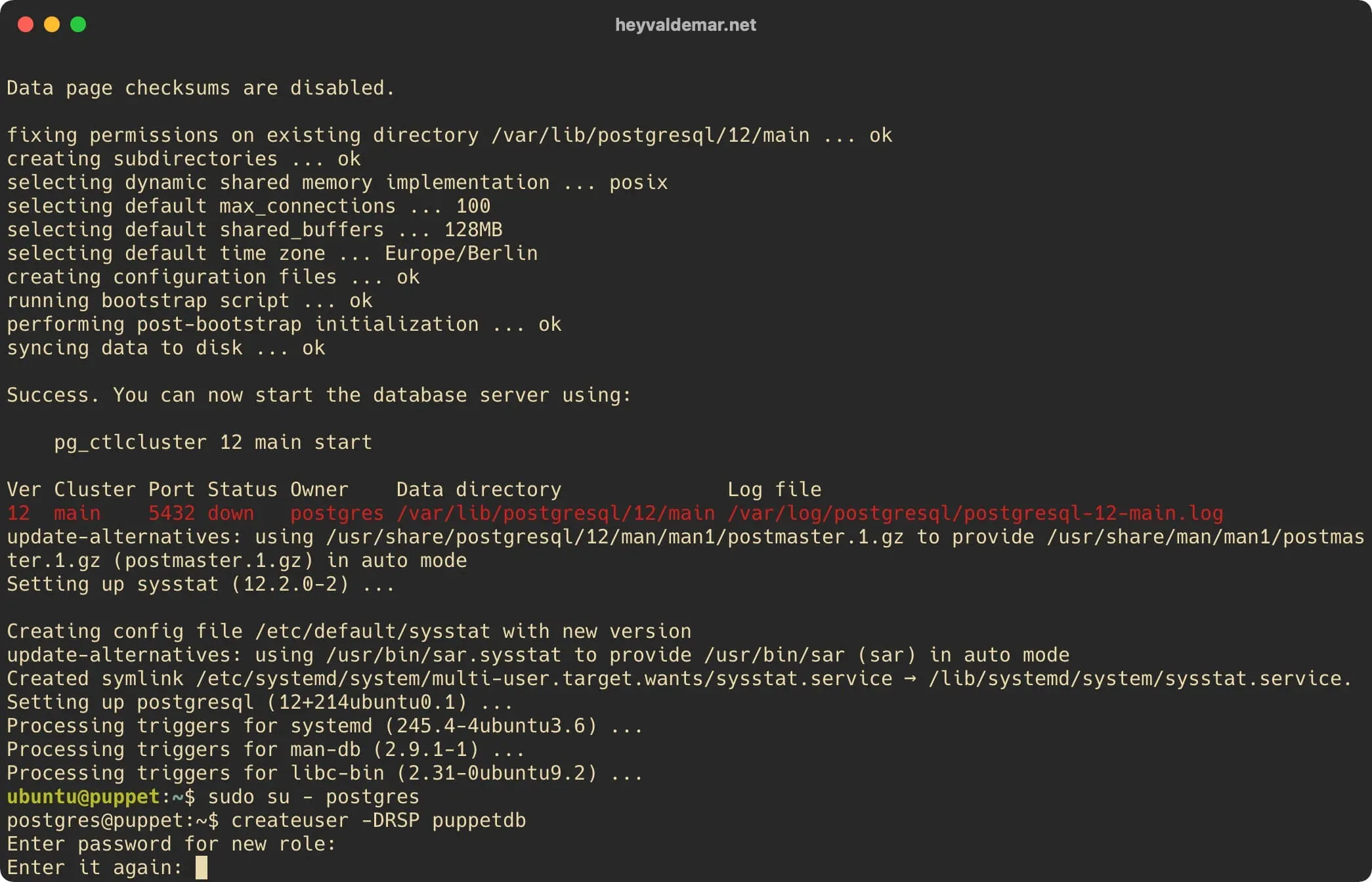 Install PuppetDB on Ubuntu Server - Step 6