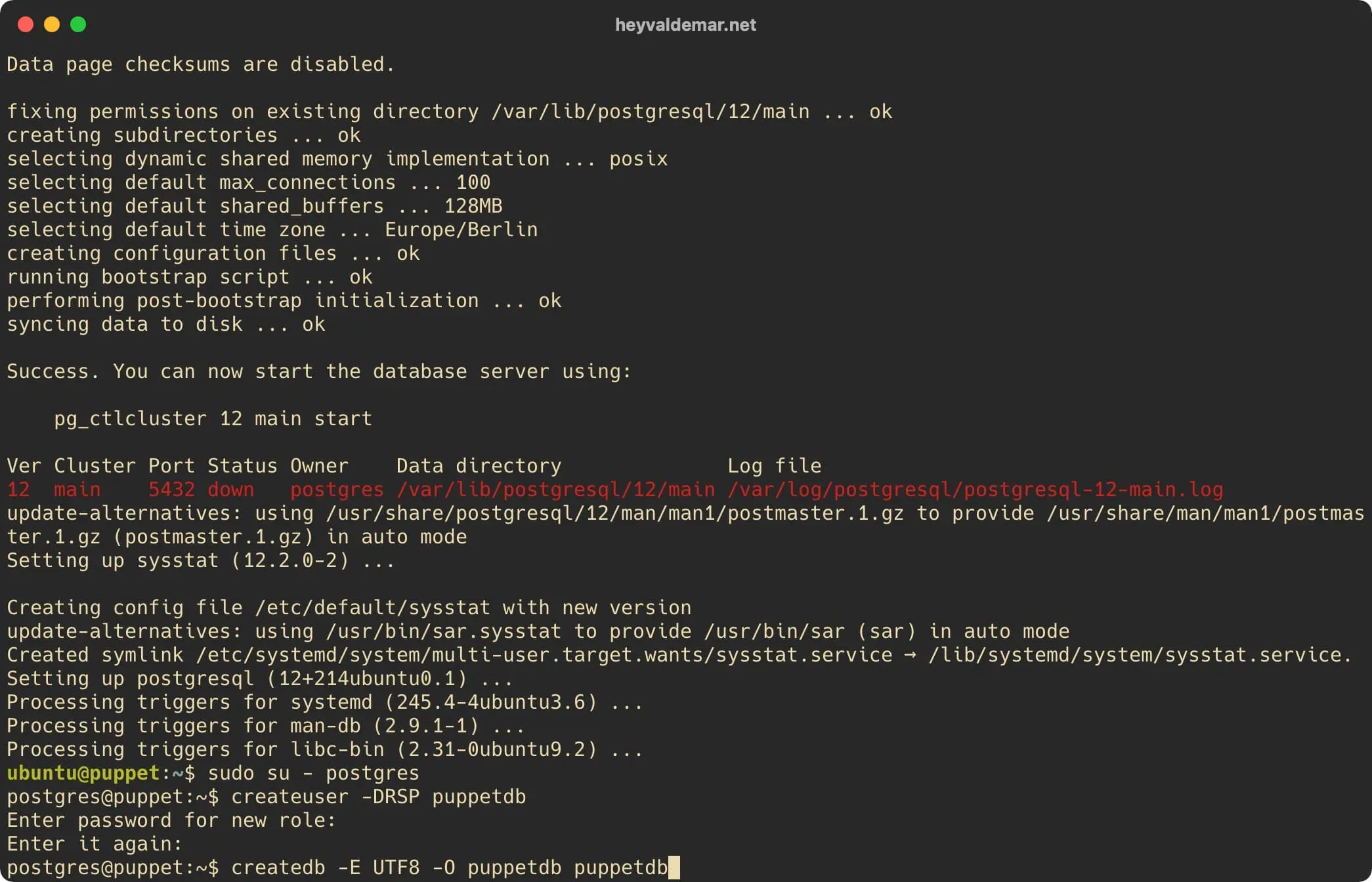 Install PuppetDB on Ubuntu Server - Step 7