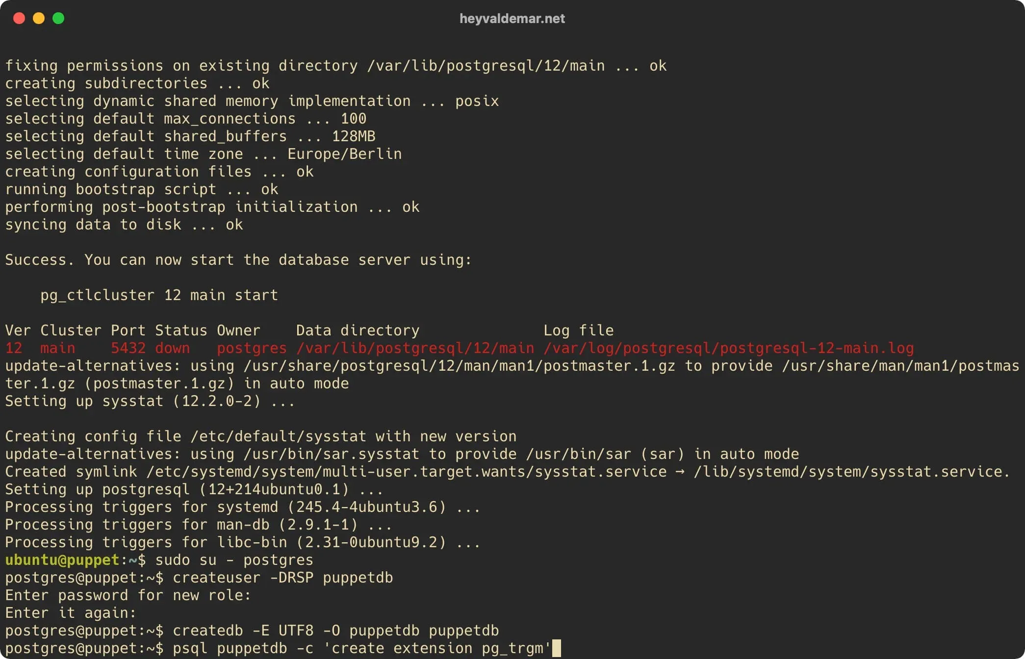 Install PuppetDB on Ubuntu Server - Step 8