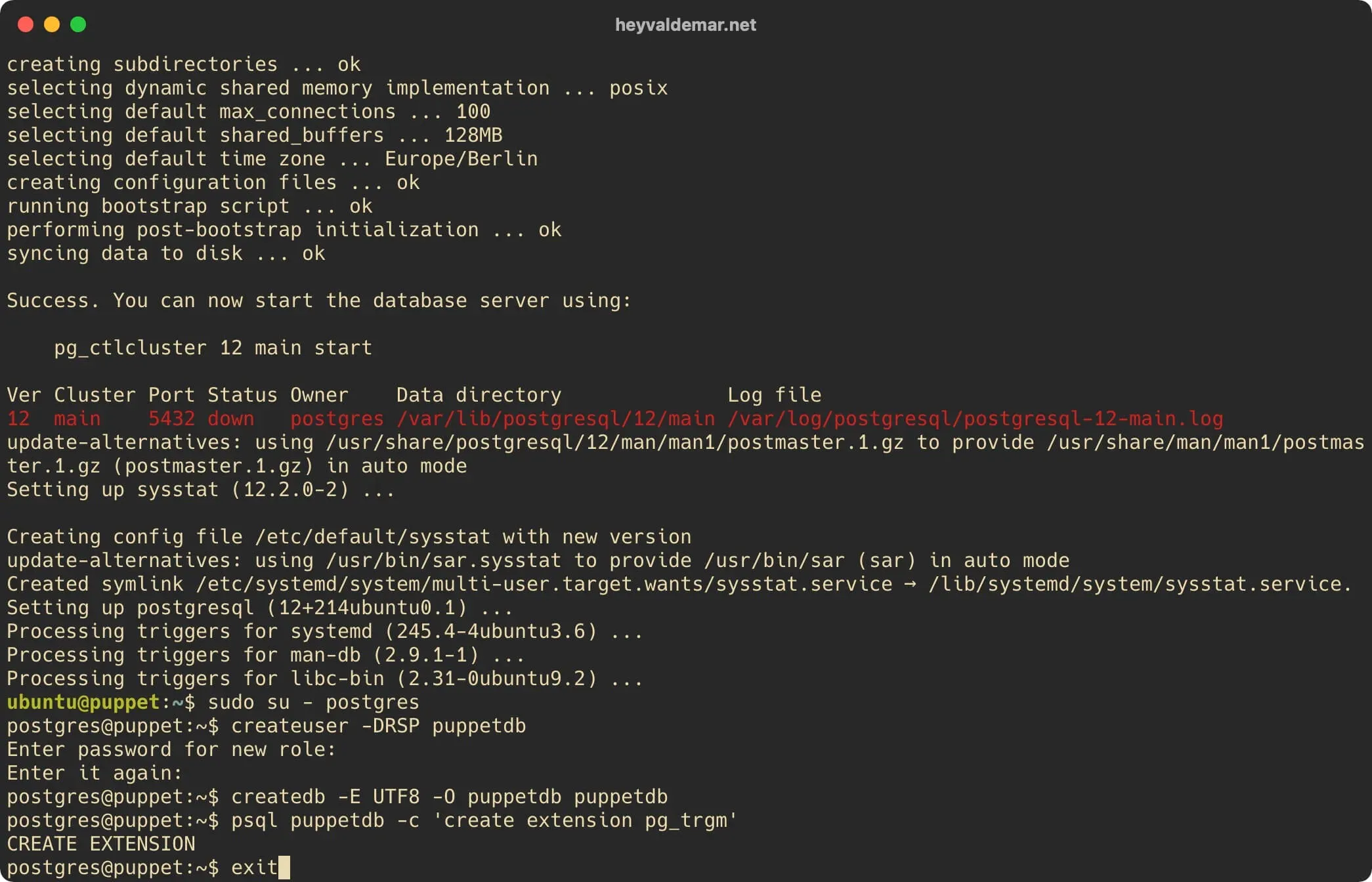 Install PuppetDB on Ubuntu Server - Step 9