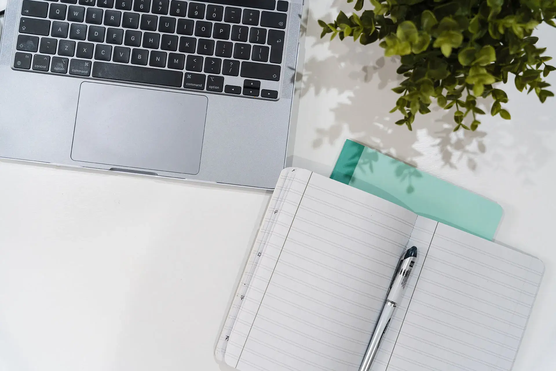 Cover image for Install Multicraft on Ubuntu Server